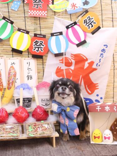 20240731らんまるちゃん